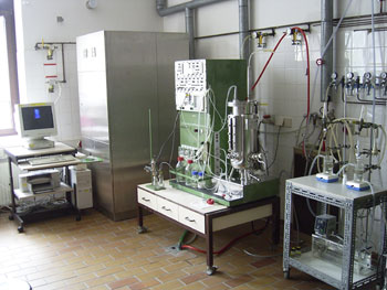 Labor